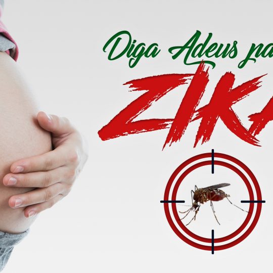 Zika pode permanecer no organismo por até dois anos Zika pode permanecer no organismo por até dois anos